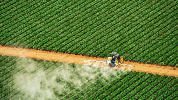 Best Commercial Pest Control Services  in Madison, GA