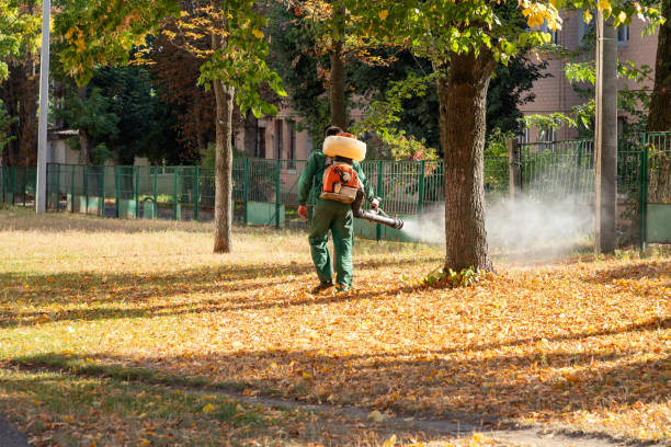 Best Wasp Removal Services  in Madison, GA