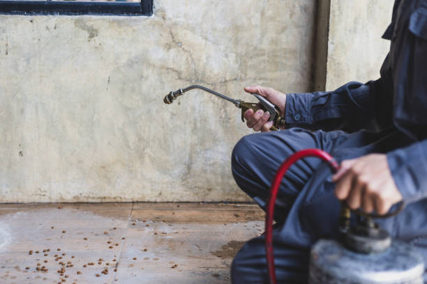 Best Residential Pest Control  in Madison, GA